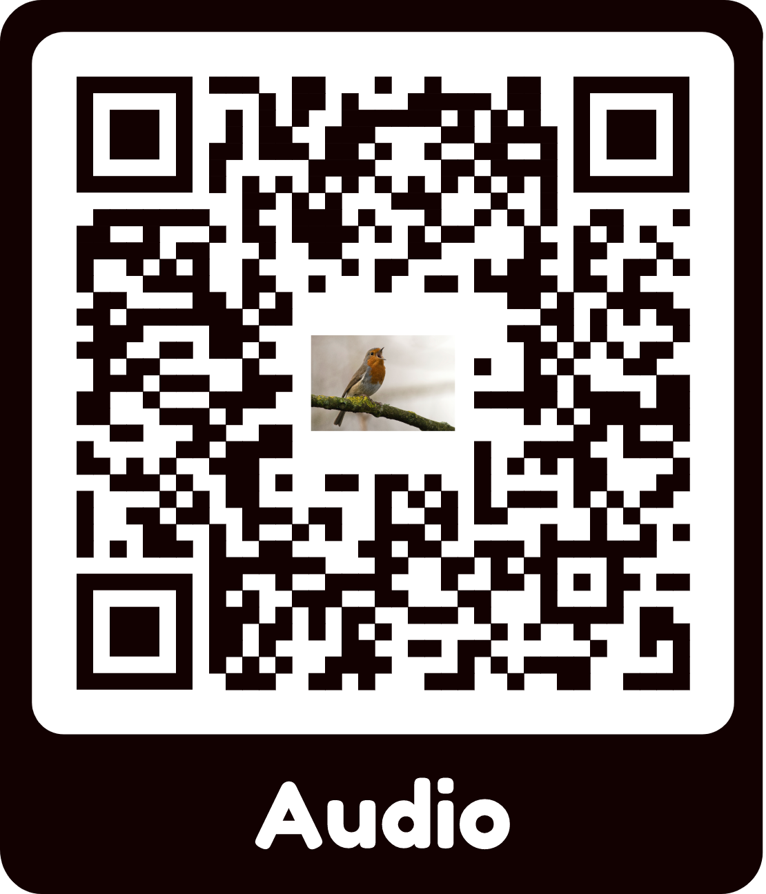 Voorbeeld Audio (MP3) QR-code