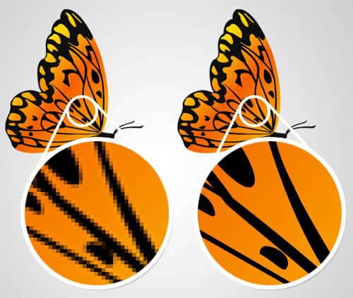 2 afbeeldingen van vlinders naast elkaar. Er is ingezoomd op de afbeelding, waarbij de rechter vlinder (vector) een stuk scherper is dan de linker (pixel).