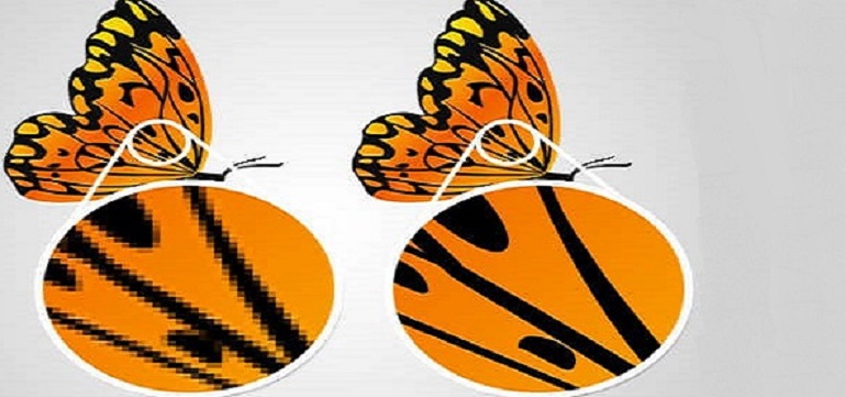 2 afbeeldingen van vlinders als vectorbestand en pixelbestand ter vergelijking van de kwaliteit. De vlinder van het vectorbestand is veel scherper.