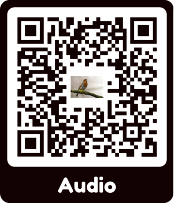 Afbeelding van een QR code met het onderschrift 'audio' eronder.